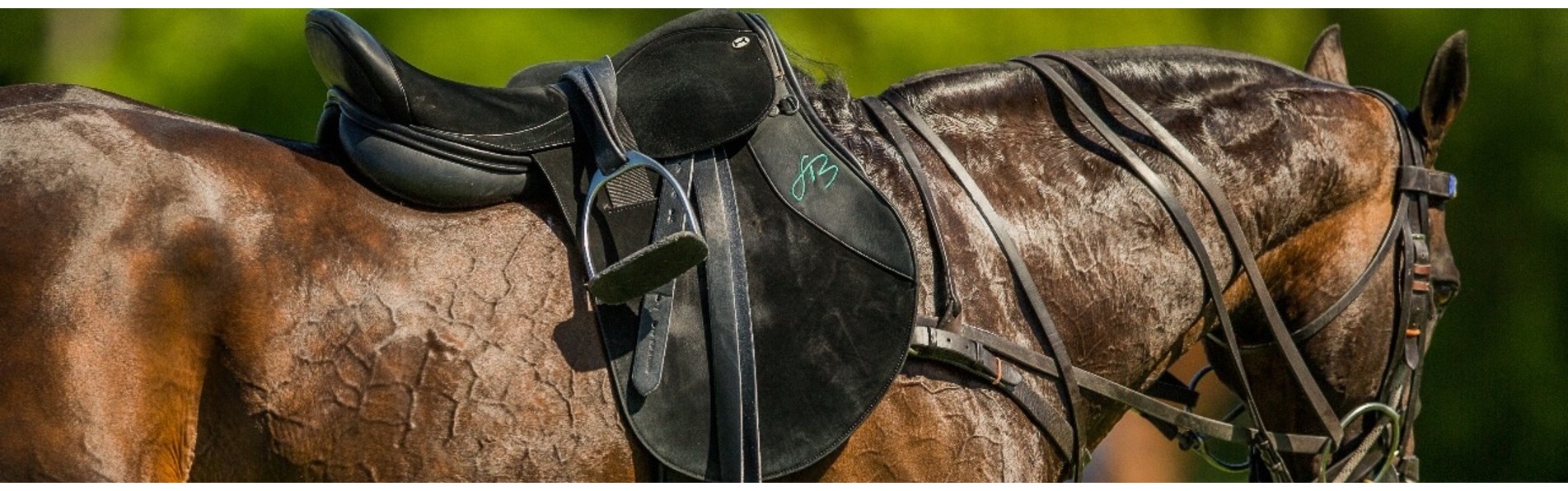 https://www.kronopolo.es/image/cache/catalog/BLOG%20PHOTOS/POLO%20SADDLES-1903x596.jpg