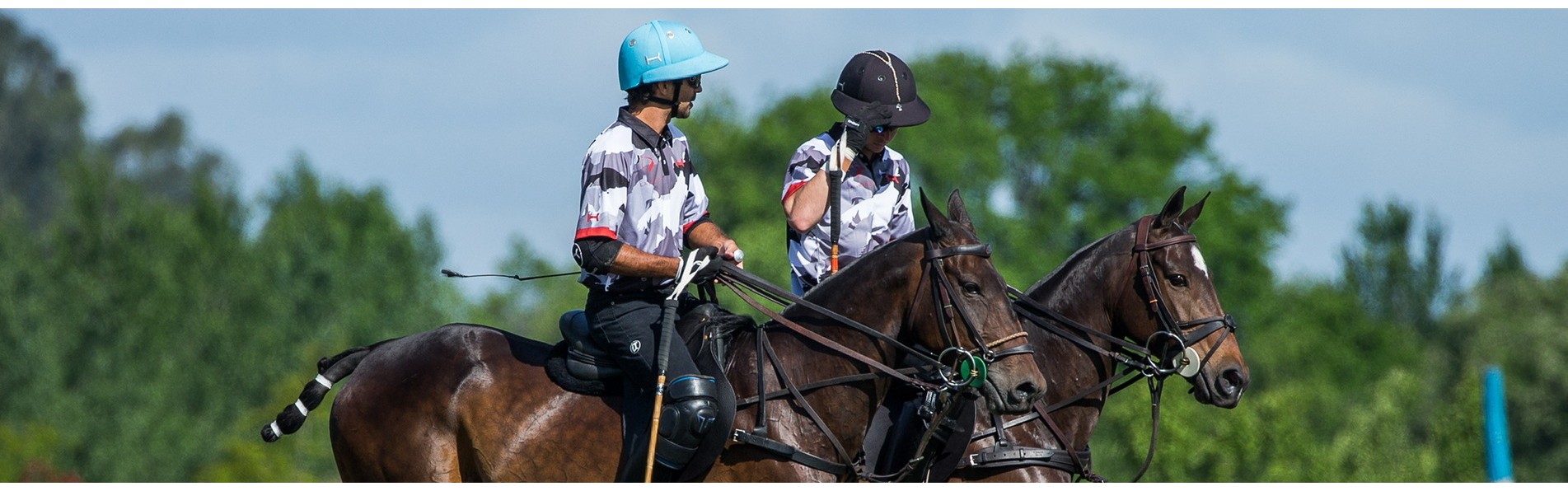 https://www.kronopolo.es/image/cache/catalog/BLOG%20PHOTOS/polo%20handicap-1903x596.jpg