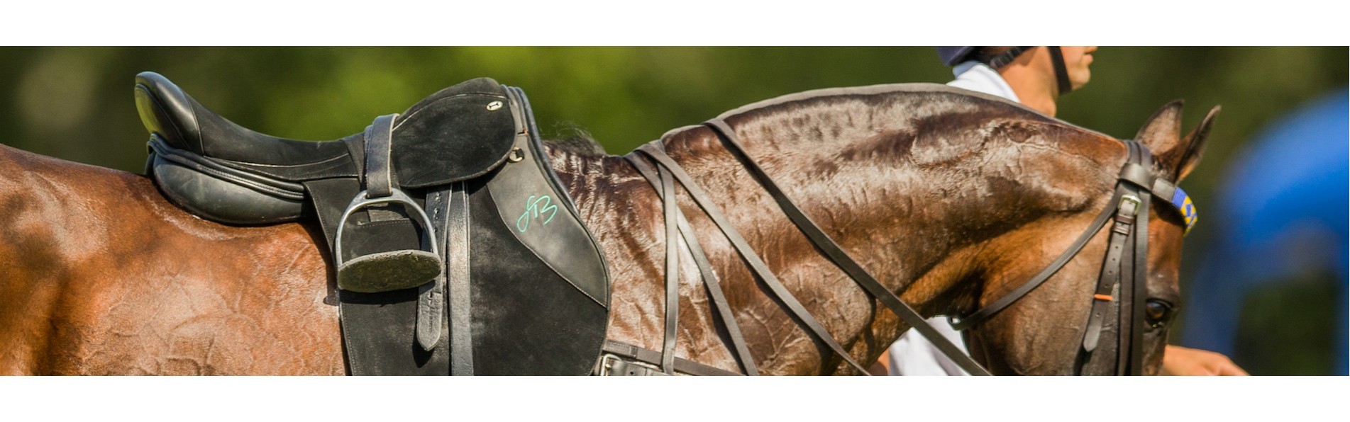 https://www.kronopolo.es/image/cache/catalog/BLOG%20PHOTOS/the%20best%20polo%20saddles-1903x596.jpg