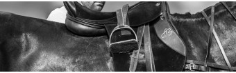 Realmente Importa el Peso del Equipo en el Polo? Realmente Importa el Peso del Equipo en el Polo?