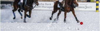 HORSESHOES FOR SNOW POLO