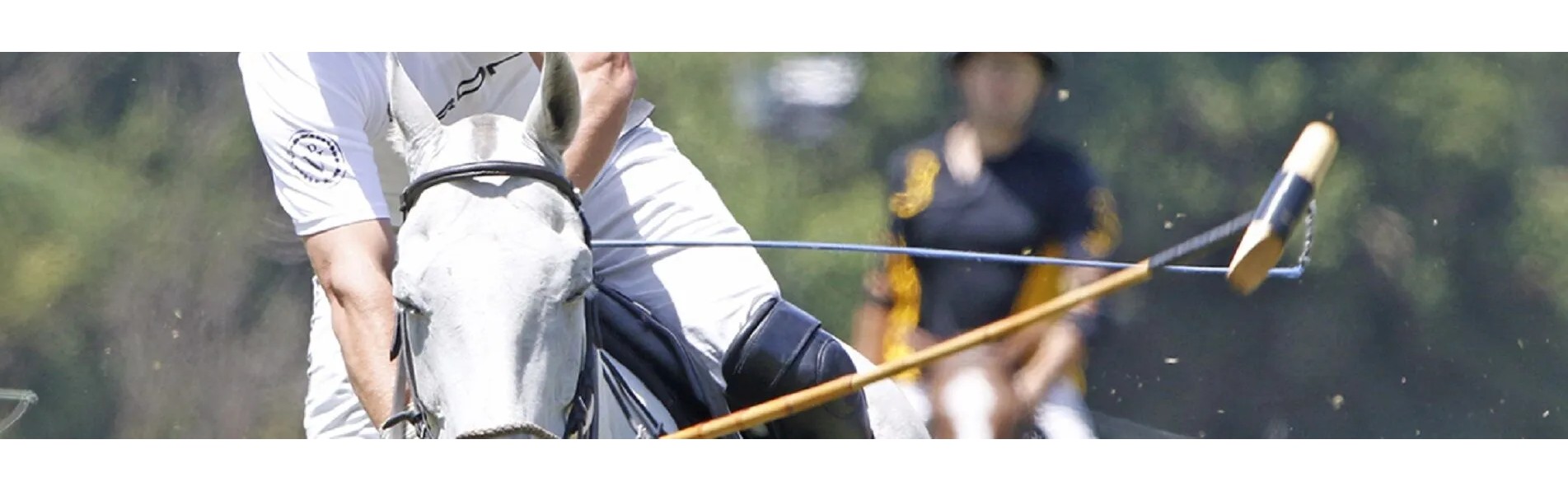 https://www.kronopolo.es/image/cache/catalog/Blog/banner%203/polo%20mallets%20by%20krono%20polo-1903x596.jpg