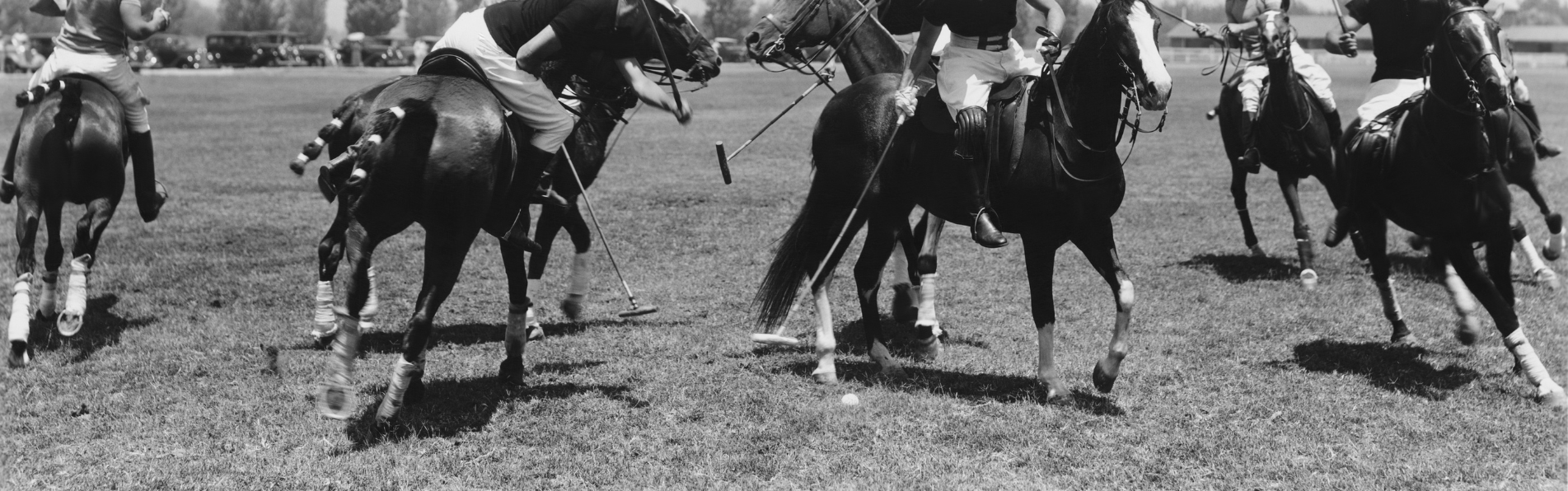 https://www.kronopolo.es/image/cache/catalog/Blog/polo-horses-stop-better-1903x596.png