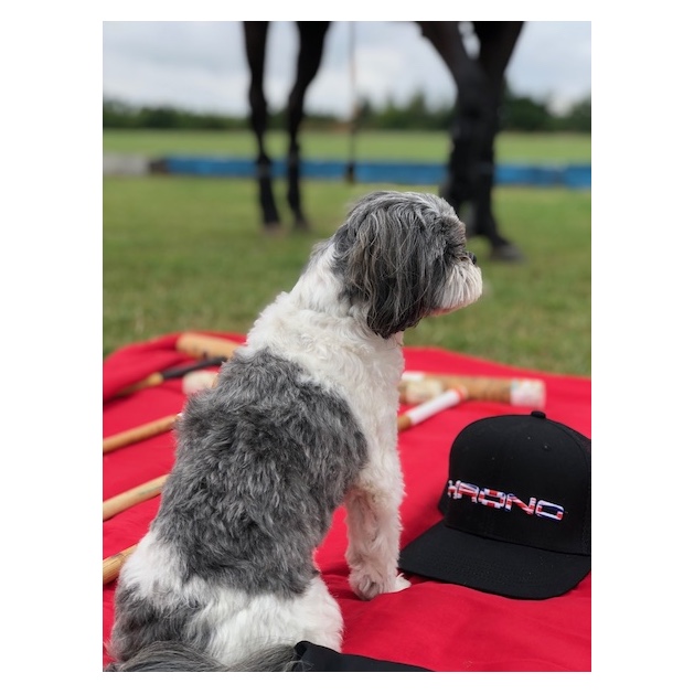 Gorra de Bandera Británica Krono Gorra de Bandera Británica Krono