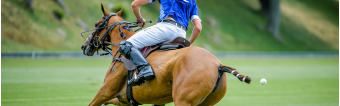 BOTAS DE POLO A LA MEDIDA: MÁS QUE UN LUJO