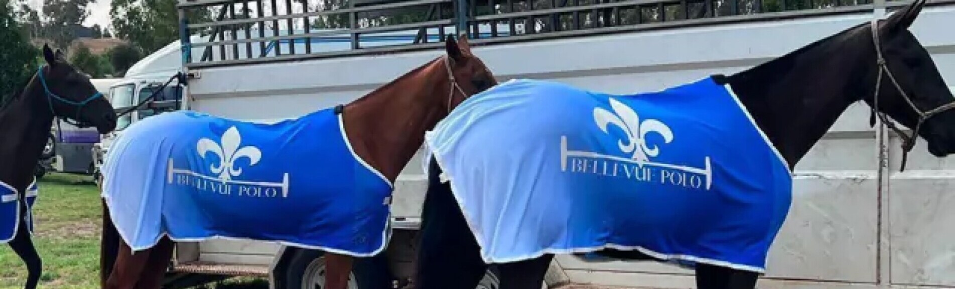 Mantas para caballos y sábanas para establos