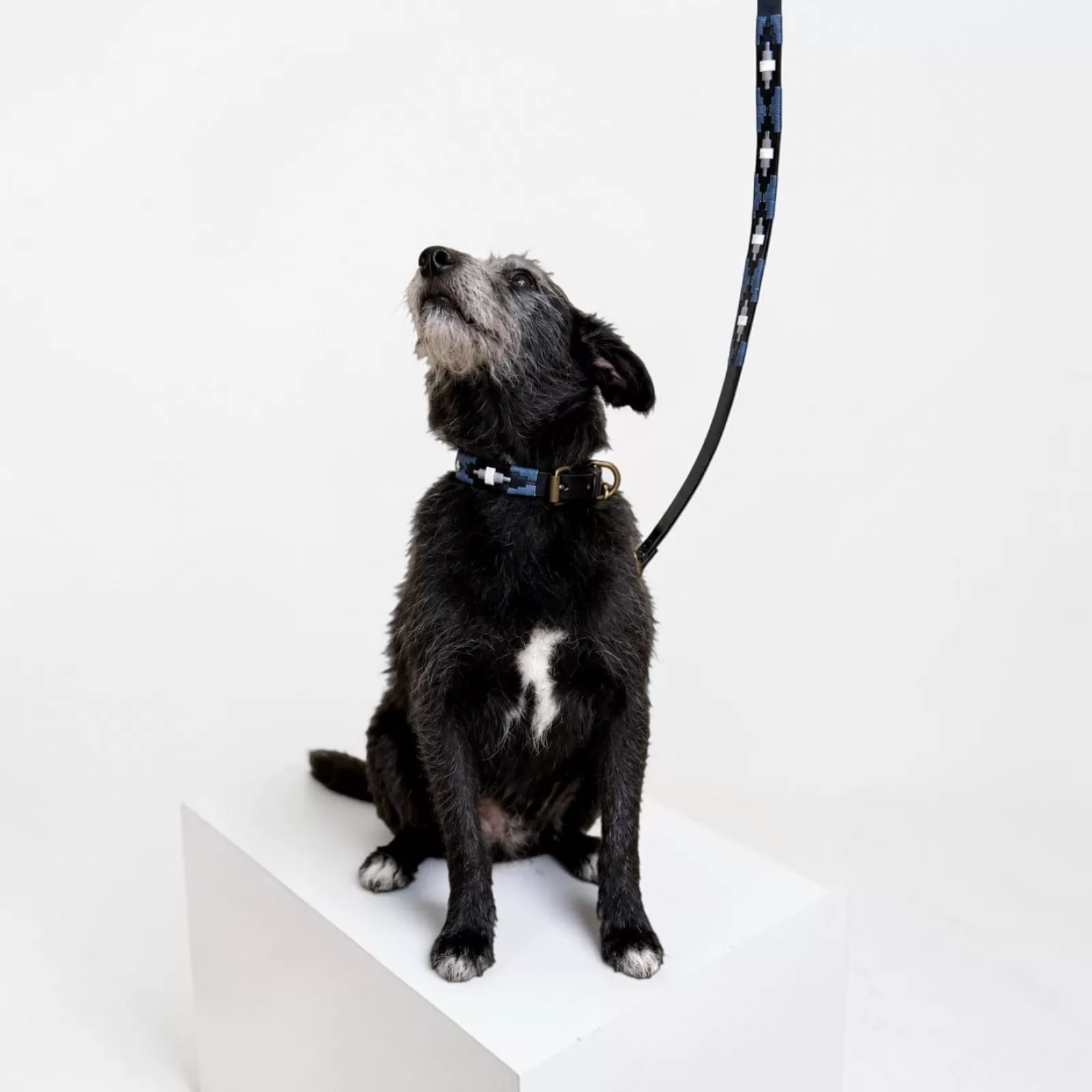 Correas para Perros La Indiana Correas para Perros La Indiana