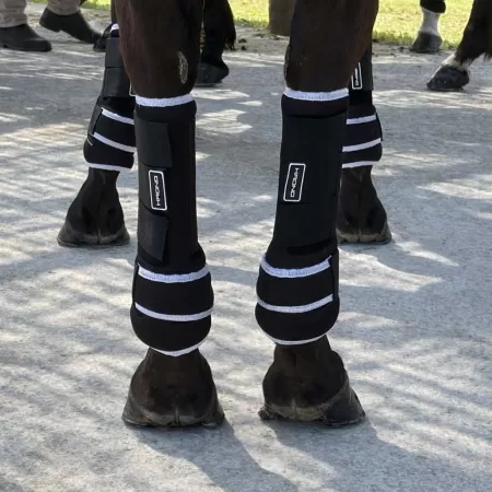 Protecciones traseras Krono Polo