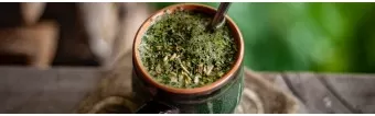 Guía Definitiva del Mate