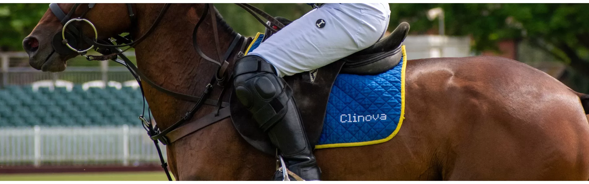 image/cache/wp/gj/Banners/Saddle%20Pads-1903x596.webp