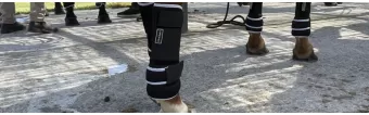 Protectores Krono Polo