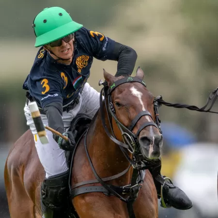 Barry Gag de hierro dulce