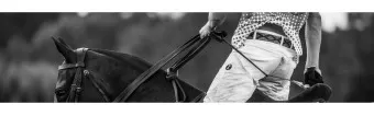 THE HISTORY OF POLO BELTS