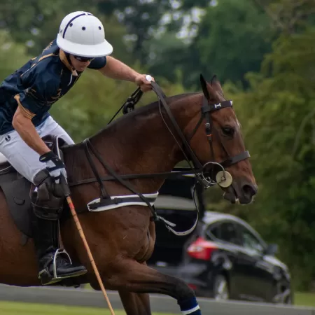 Brida compatible con bocado gag