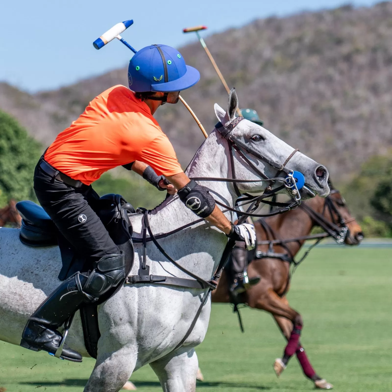 Las Coderas Las Coderas