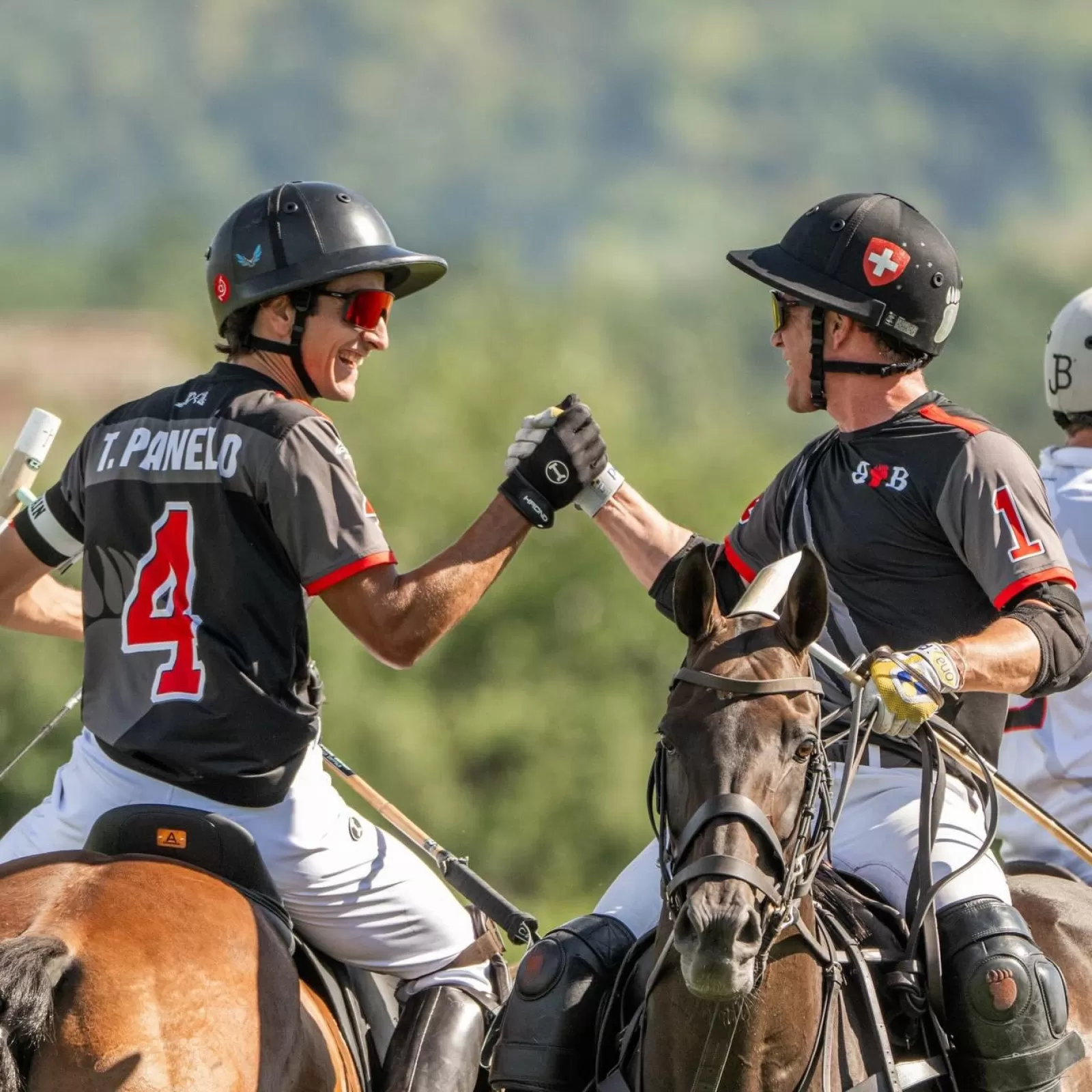 GUANTE DE POLO HIGH GOAL – MANO DERECHA GUANTE DE POLO HIGH GOAL – MANO DERECHA