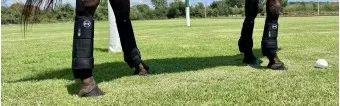 Botas para Caballo