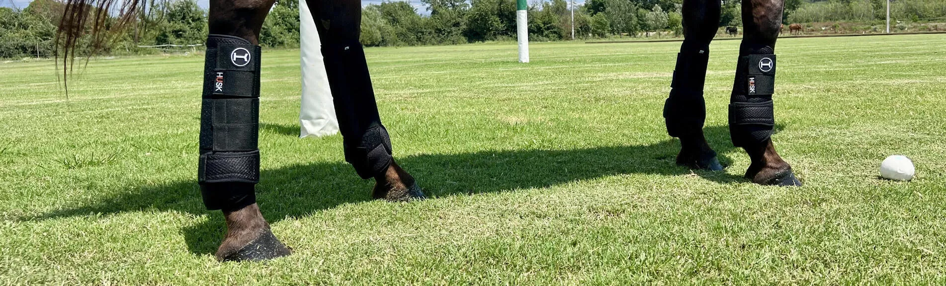 Vendajes y Protectores