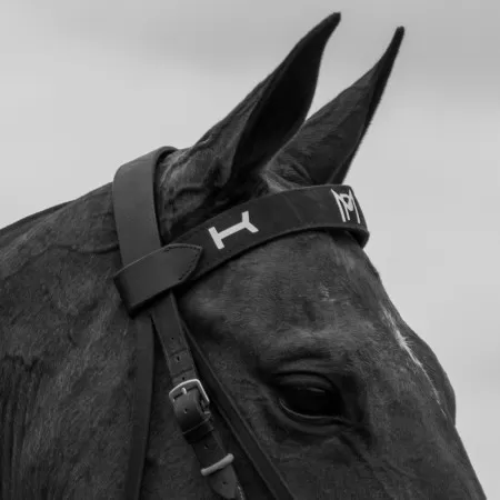 Frentales personalizados