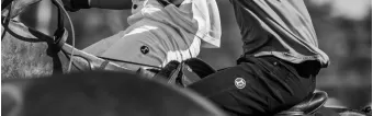 ¿POR QUÉ LOS JUGADORES DE POLO VISTEN PANTALONES BLANCOS?