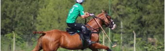 HOW TO BECOME A GOOD POLO PLAYER?