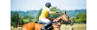 POR QUÉ SON CAROS LOS CABALLOS DE POLO? POR QUÉ SON CAROS LOS CABALLOS DE POLO?