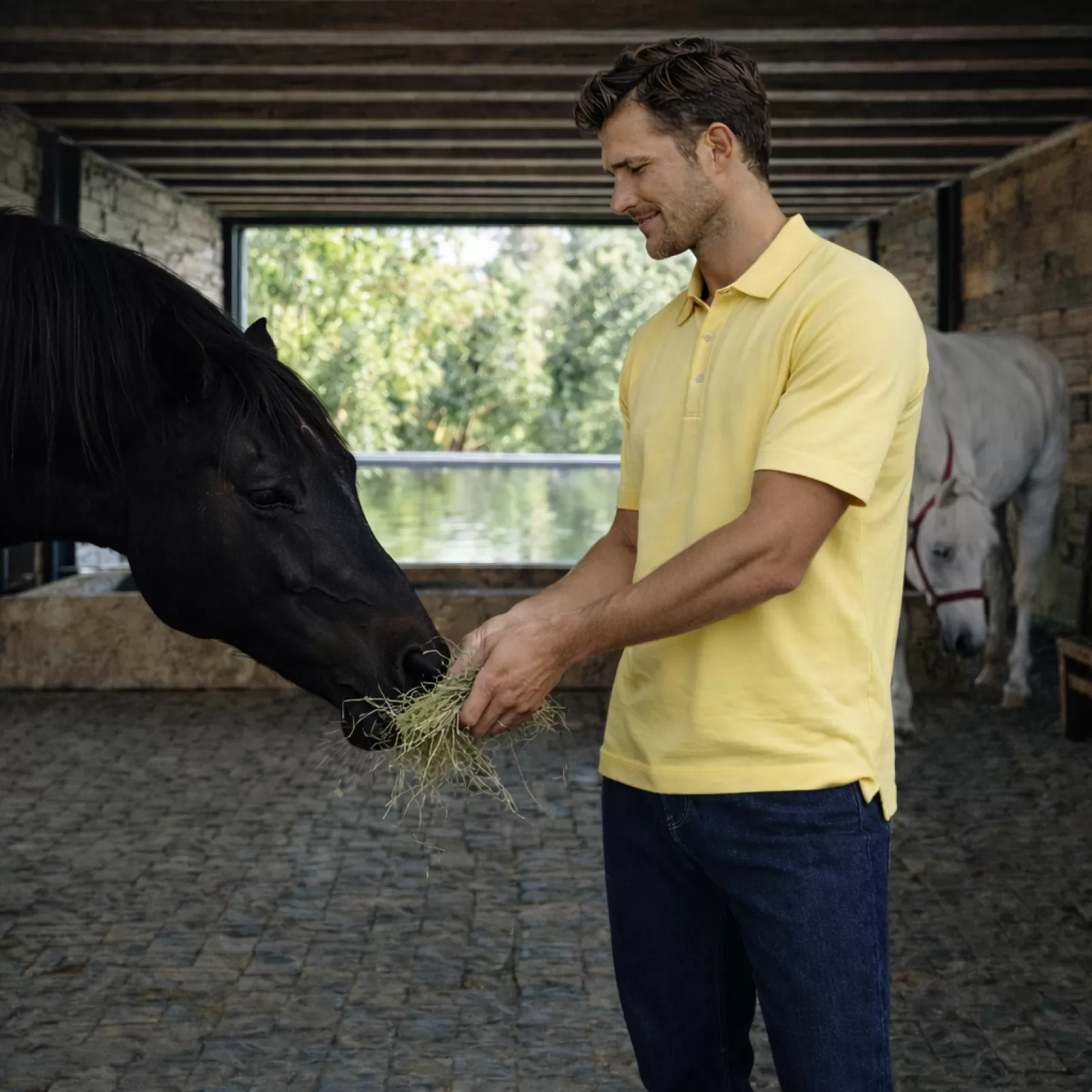 Polo de Giza Amarillo Polo de Giza Amarillo