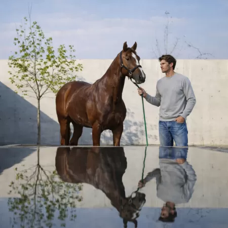 Sudadera de Cachemir Gris Claro