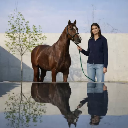 Sudadera con Cremallera de Cachemir Azul Marino Sudadera con Cremallera de Cachemir Azul Marino