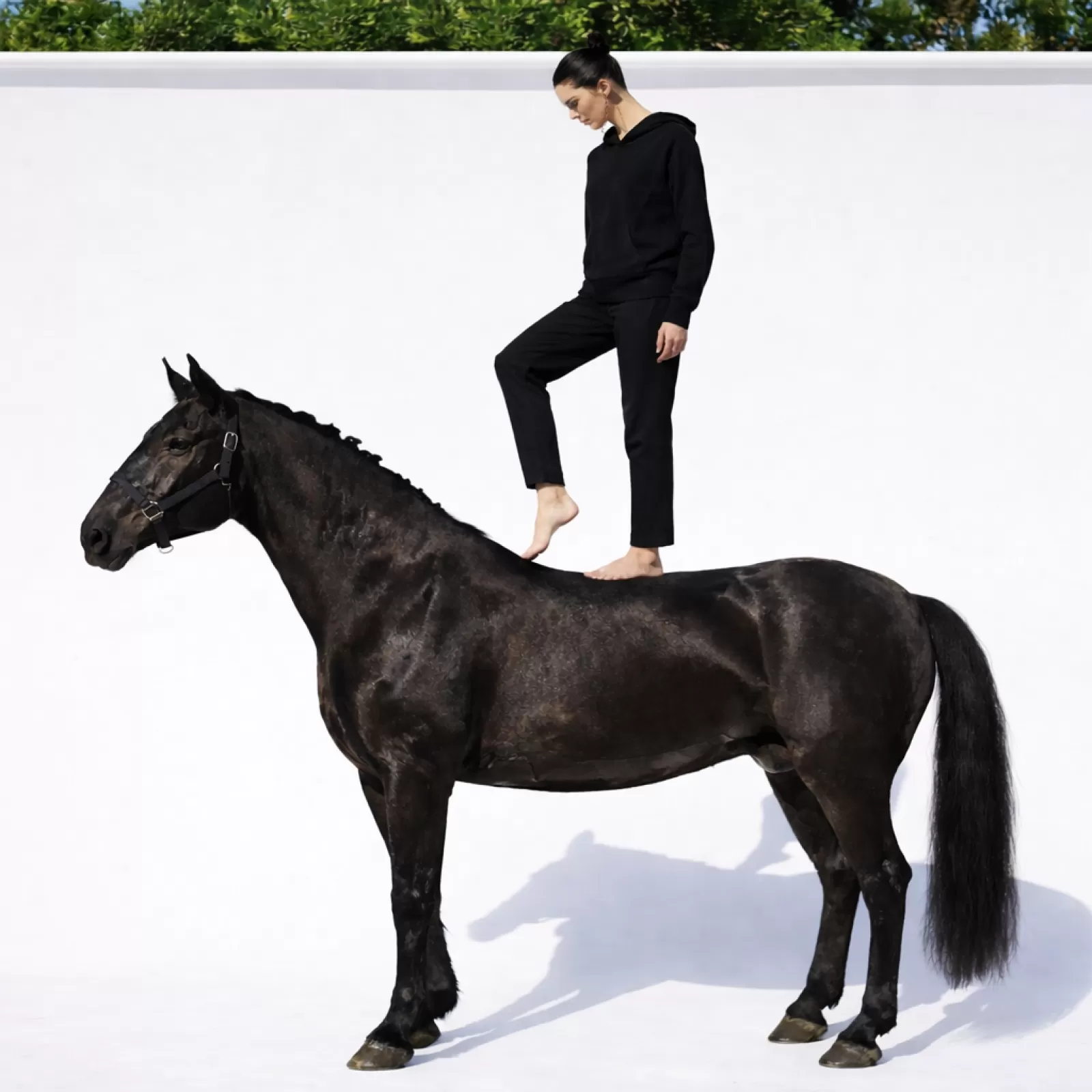 Sudadera con capucha Chukka de cachemira Negra Sudadera con capucha Chukka de cachemira Negra