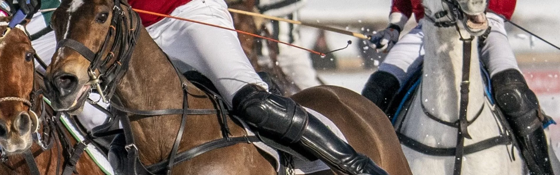image/cache/wp/gp/kronopolo-banner/Snow%20Polo-1903x596.webp